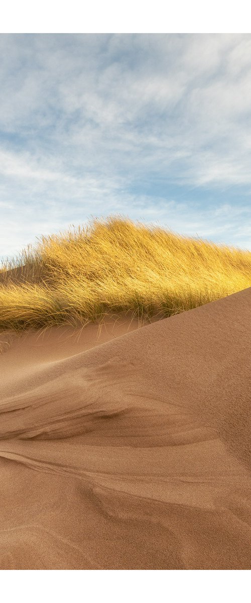 Late Dunes I by David Baker