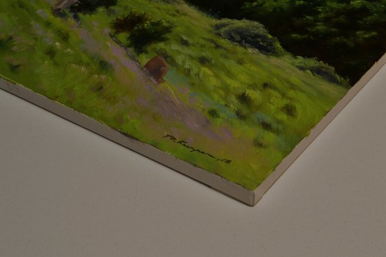 Pasture