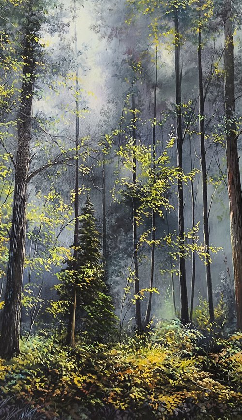A Mysterious Veil by Sergei Miqaielyan