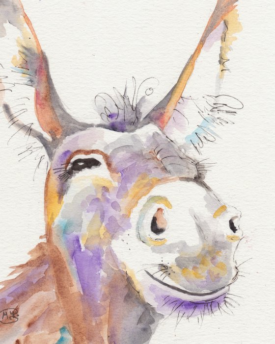 Cute Donkey Portrait