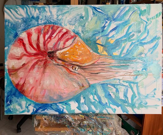 Nautilus Pompilus