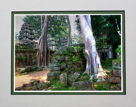 Ta Prohm 2, Cambodia.