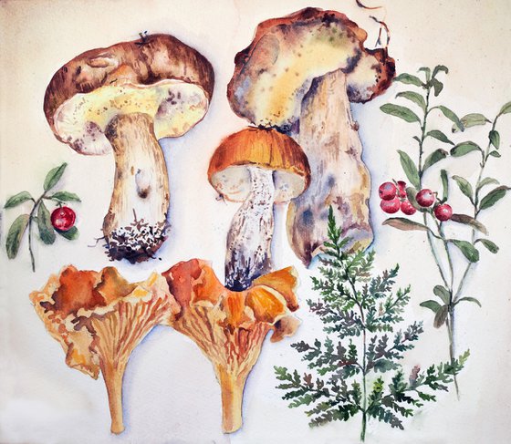 Forest collection - original watercolor mushrooms