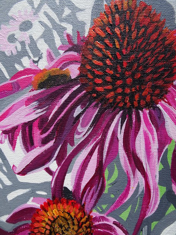 Echinacea Flowers