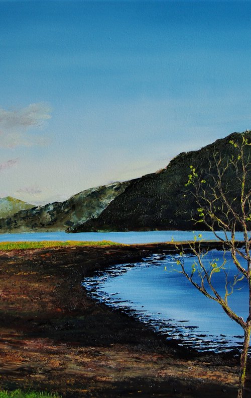 Sapling Along Loch Goil  61cm x 92cm by Hazel Thomson