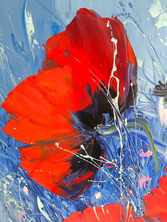 Wild Poppies Serenade