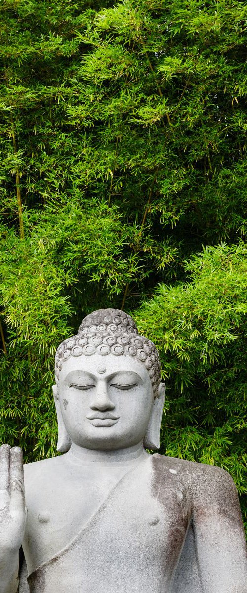 Buddha and Bamboo by Tom Hanslien