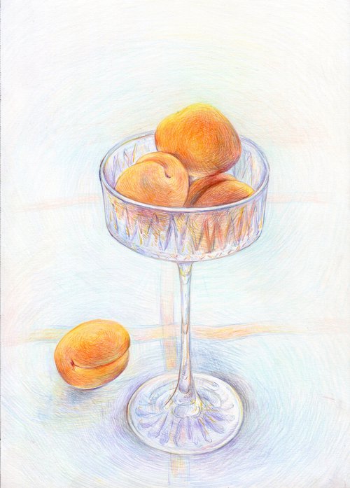 Colored pencils drawing of still life with apricots by Liliya Rodnikova