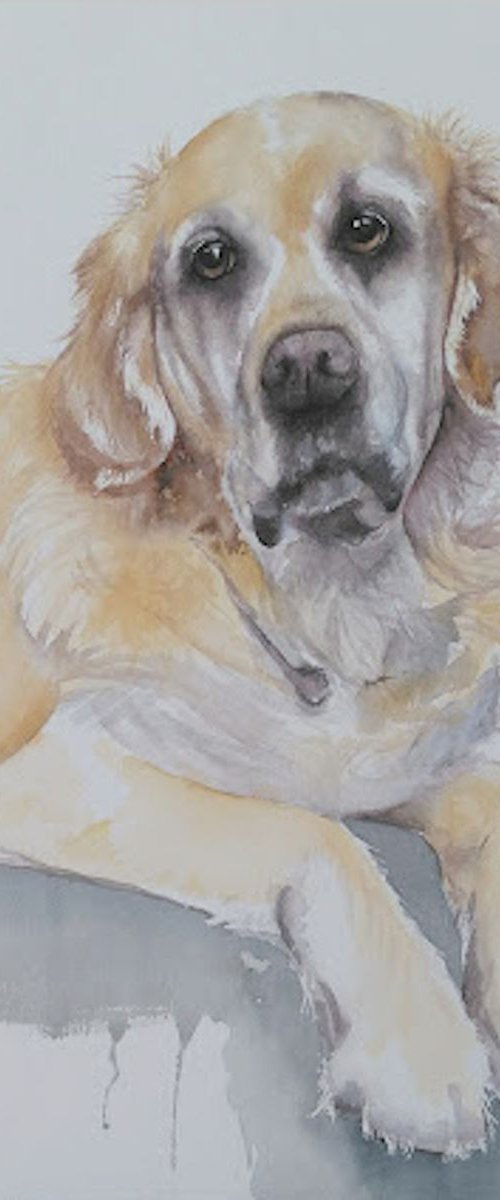 'Louis' by Nicola Colbran