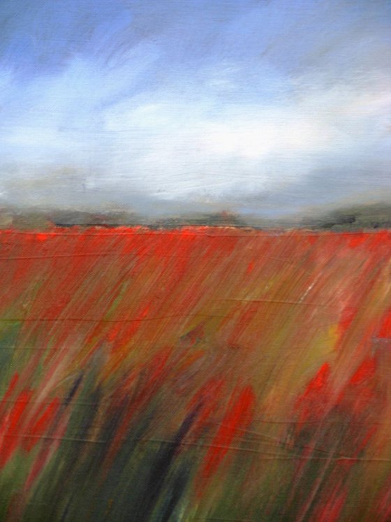 Field of Poppies 6