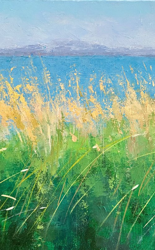 Summer in Scotland by Ling Strube