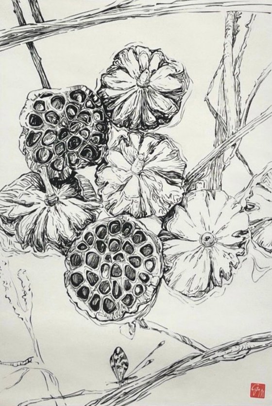 Lotus pods on scroll paper