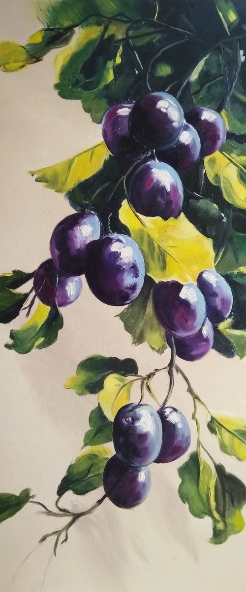 Plums by Valeriia Radziievska