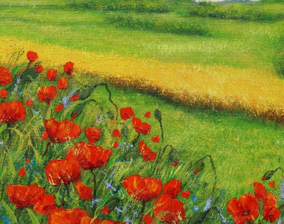 Red poppies field