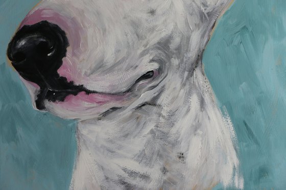 DOG PORTRAIT