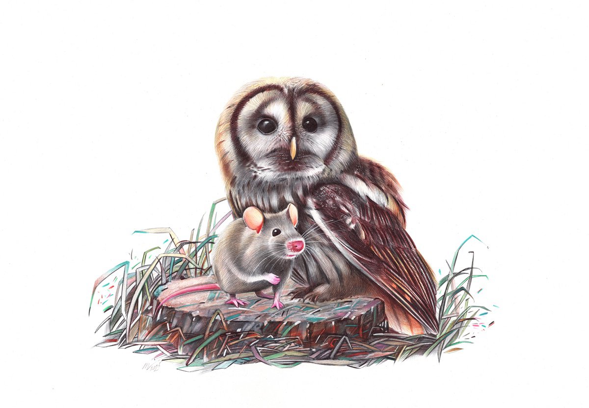 Photorealistic Animal Drawing By Daria Maier, 20 X 14, Trust Iv, Original Artwork