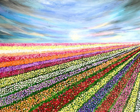 Rainbow Harvest - Tulip fields of Lisse