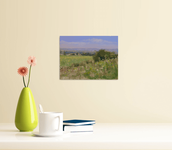 Meadow in Provence