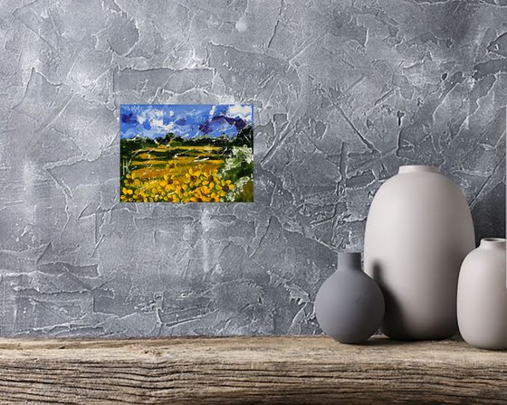 Sunflower Field. Golden Land.