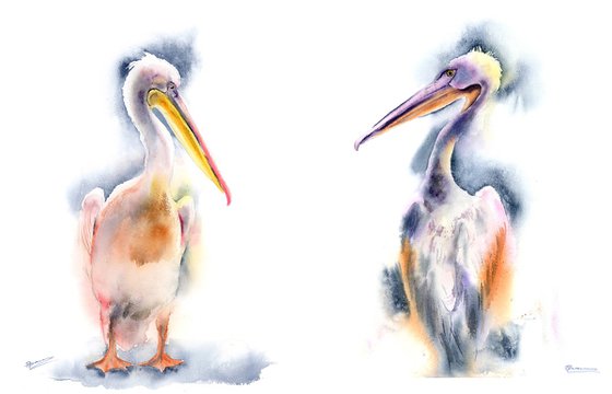 Pelican Diptych