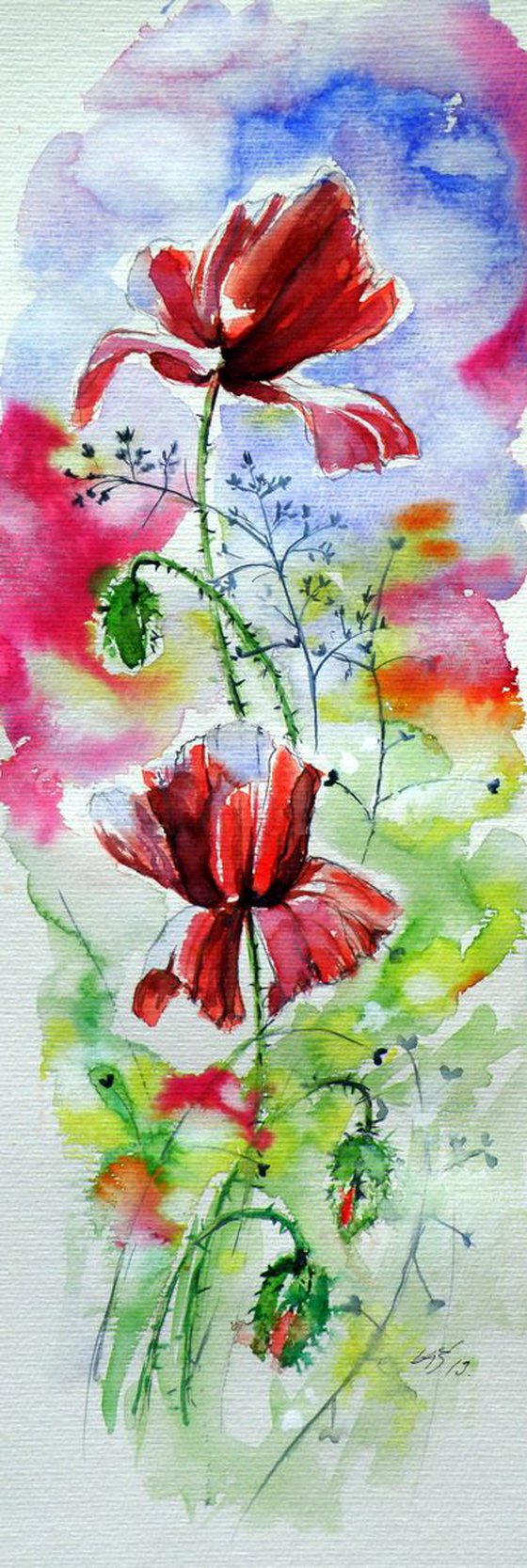 Poppies of summer IV