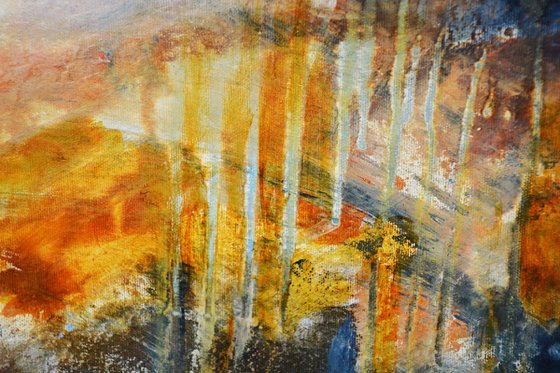 Atlas of a Disappearing World