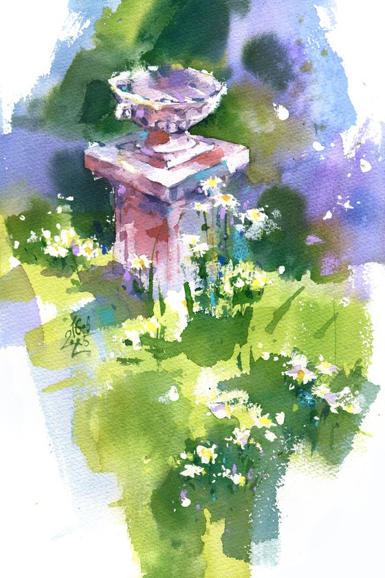 A field of daisies