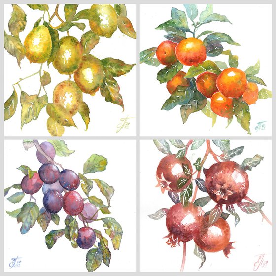 Watercolor Fruit Branches set