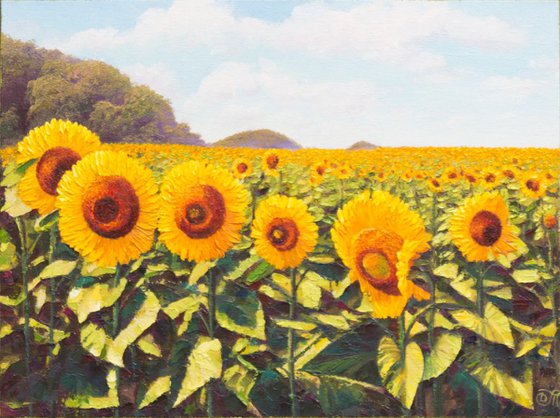 Sunflowers