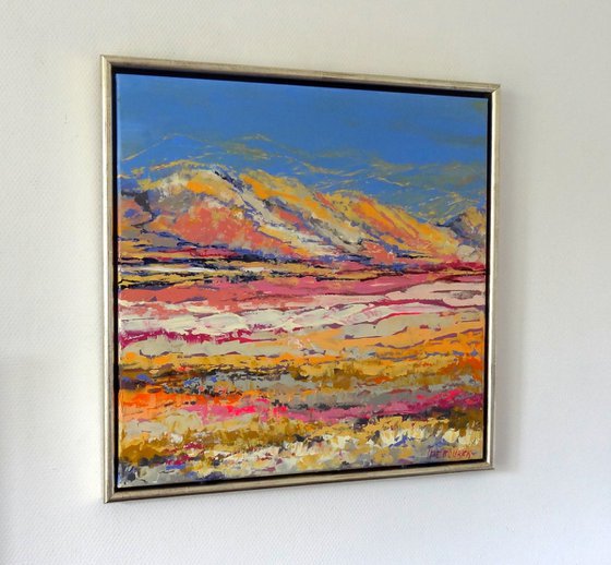 Flowers in the desert
