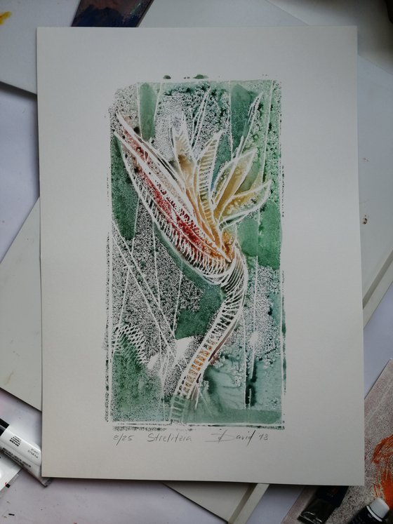 bird of paradise flower - Monotype 08