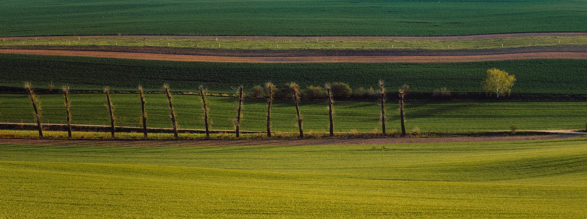 Photorealistic Landscape Photograph By Pavel Oskin, 94 X 35", Lines, Original Artwork