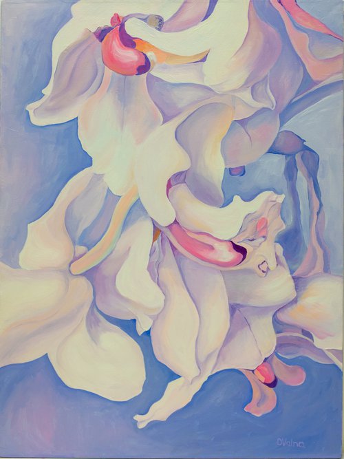White Orchids by Olga Volna