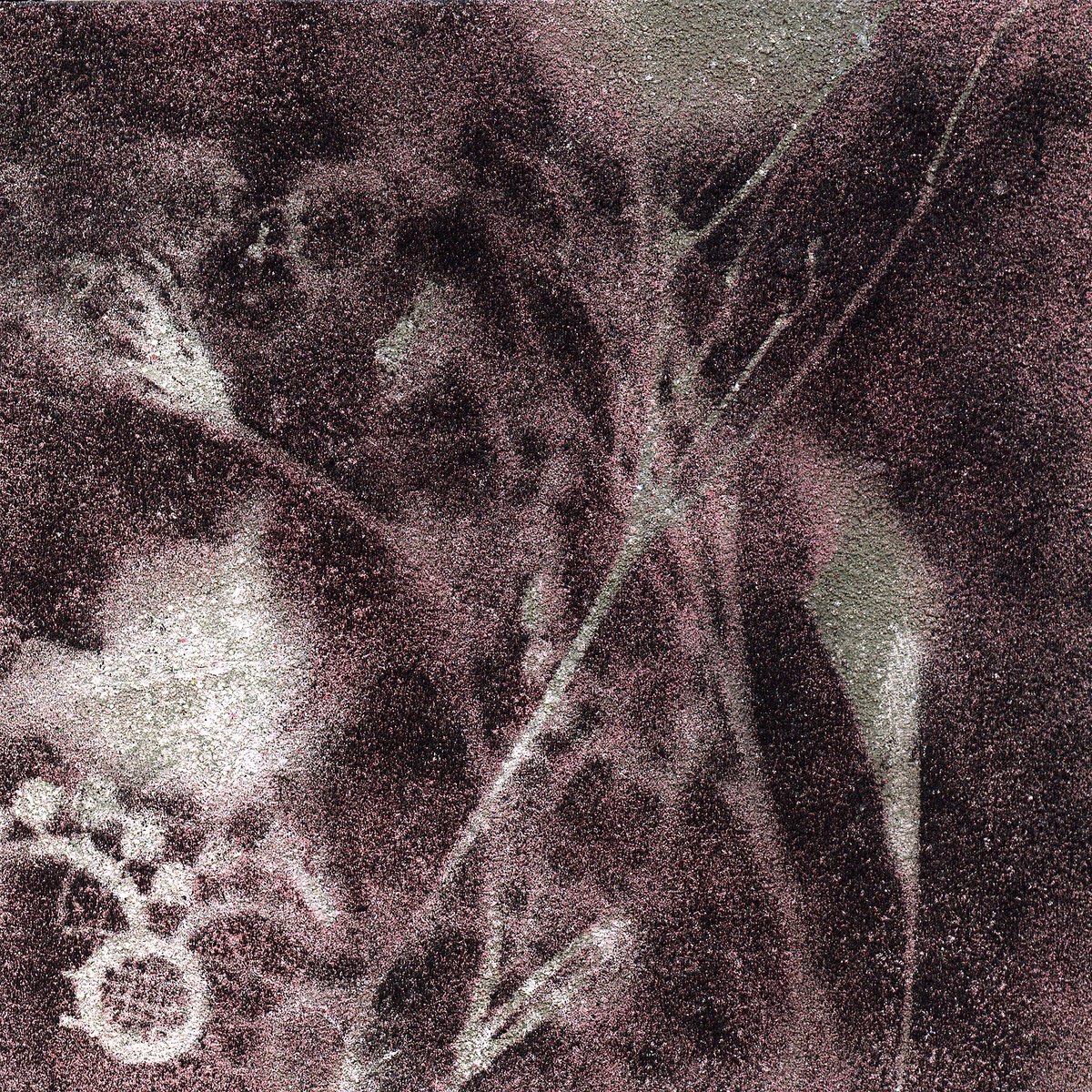  Incantesimi N. 5 By Milena Nicosia, 30 X 30, Artwork For Sale On Artfinder
