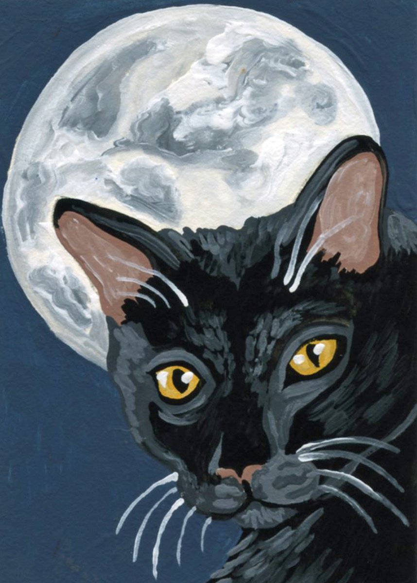 Halloween Black Cat by Carla Smale