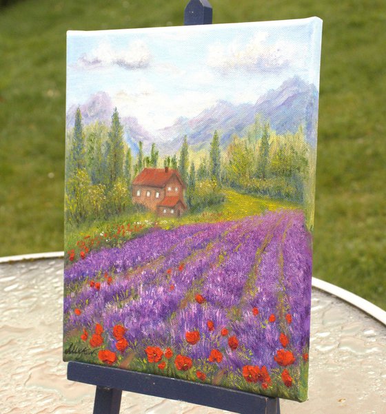 Lavender and poppies