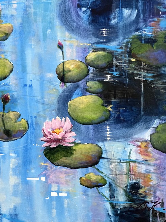 Always Waterlilies 3