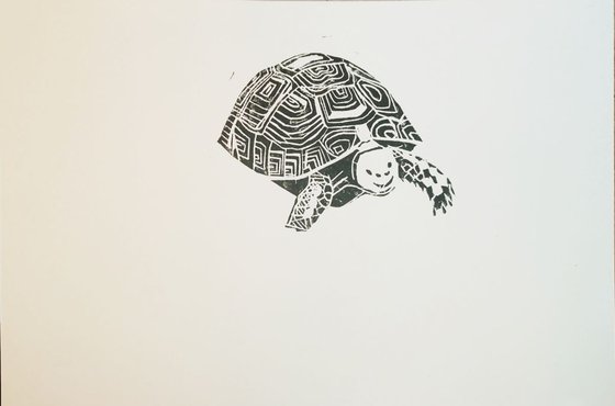 Happy Turtle.