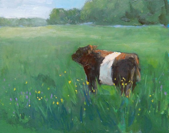 In a Spring Pasture