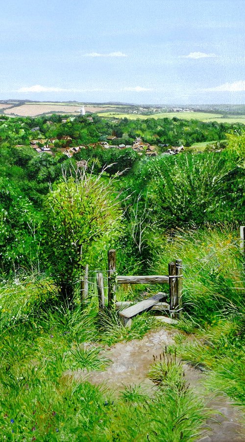 Down from the Ridge by Paula Oakley