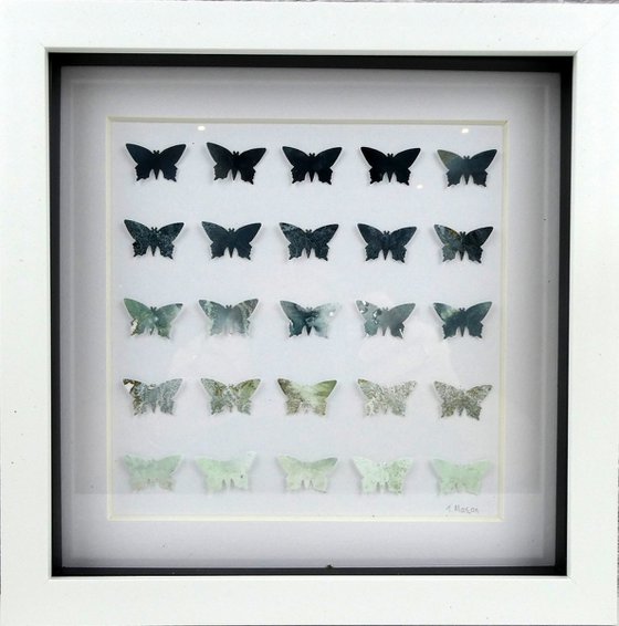 25 Grey butterflies