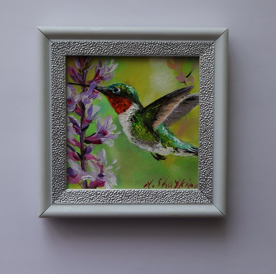 Hummingbird Painting Oil