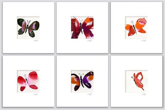 Butterfly Collection 1