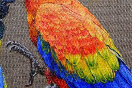 "Loving Macaws".