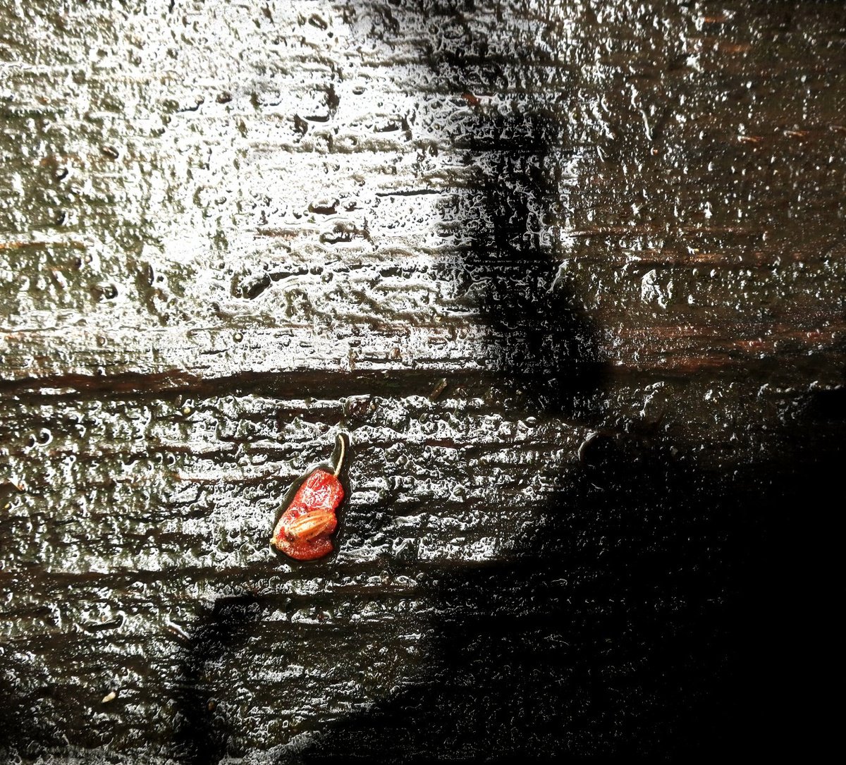 Organic Abstract Giclee Print By Philippe Berthier, 26 X 24", Fruit Rouge........., Original Artwork