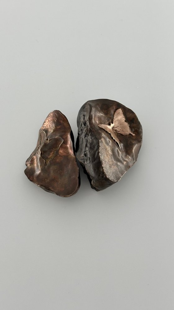 Bronze Fossil #1