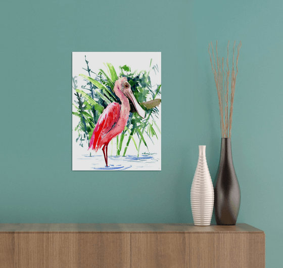 Roseate Spoonbill