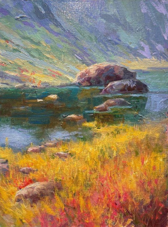 Sunny Rocks