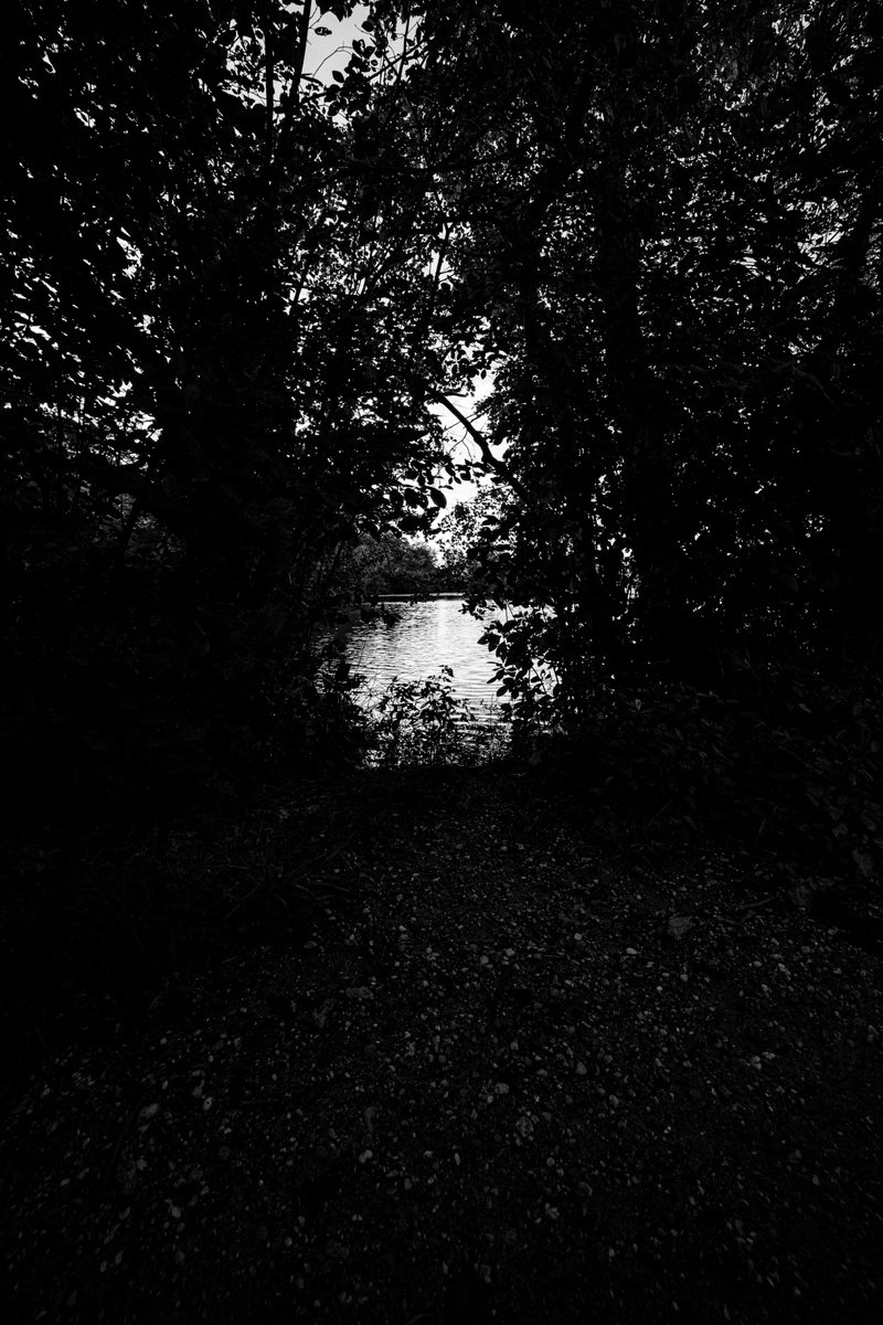 Landscape Photograph By David Huntzinger, 28 X 17, Through The Woods, Original Artwork