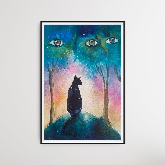 Between Eyes and Stars